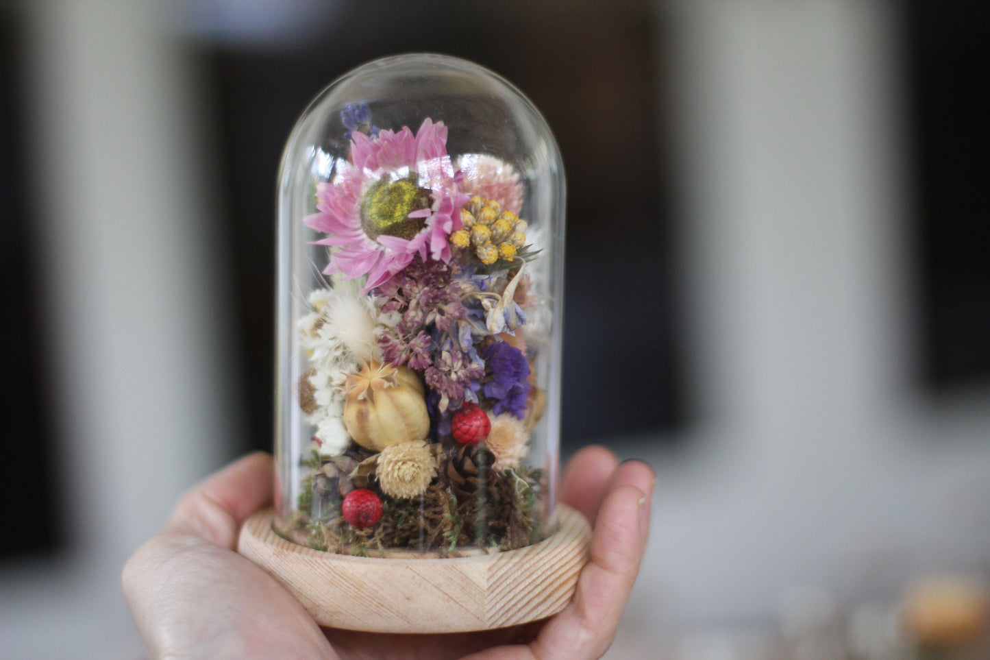 Small Dried Flowers Glass Dome / Cloche