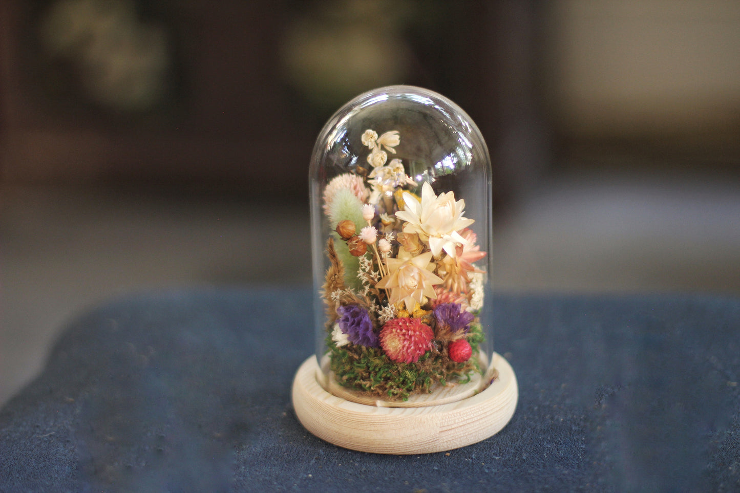 Small Dried Flowers Glass Dome / Cloche