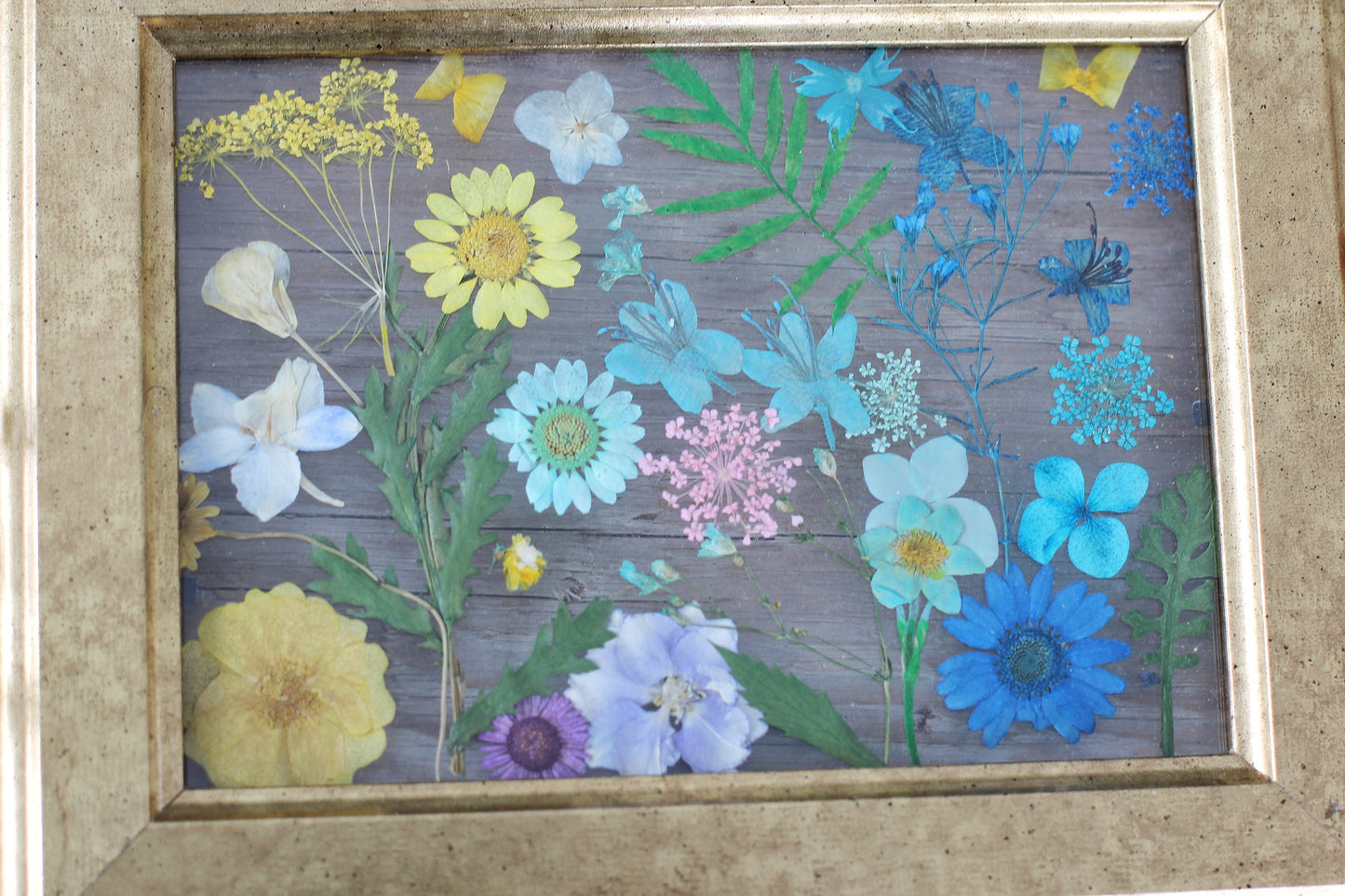 Pressed Flowers Framed Collage