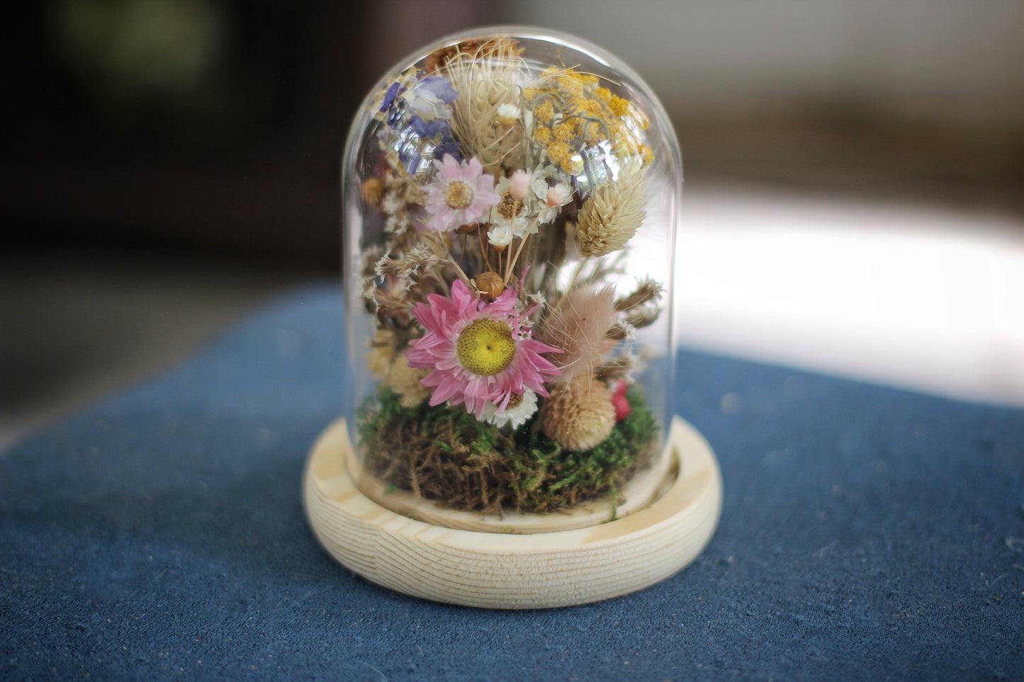 Medium / Small Dried Flowers Glass Dome / Cloche