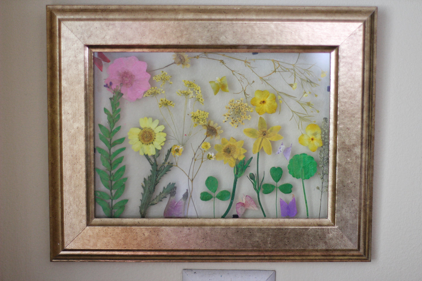 Pressed Flowers Framed Collage