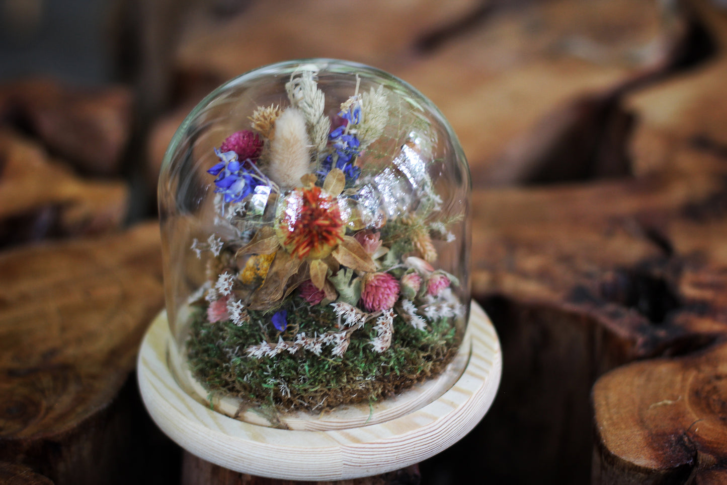 Medium Dried Flowers Glass Dome / Cloche