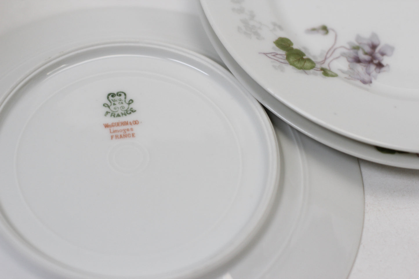 Limoges WroGeurin Floral Violets Porcelain Desert Plate Set