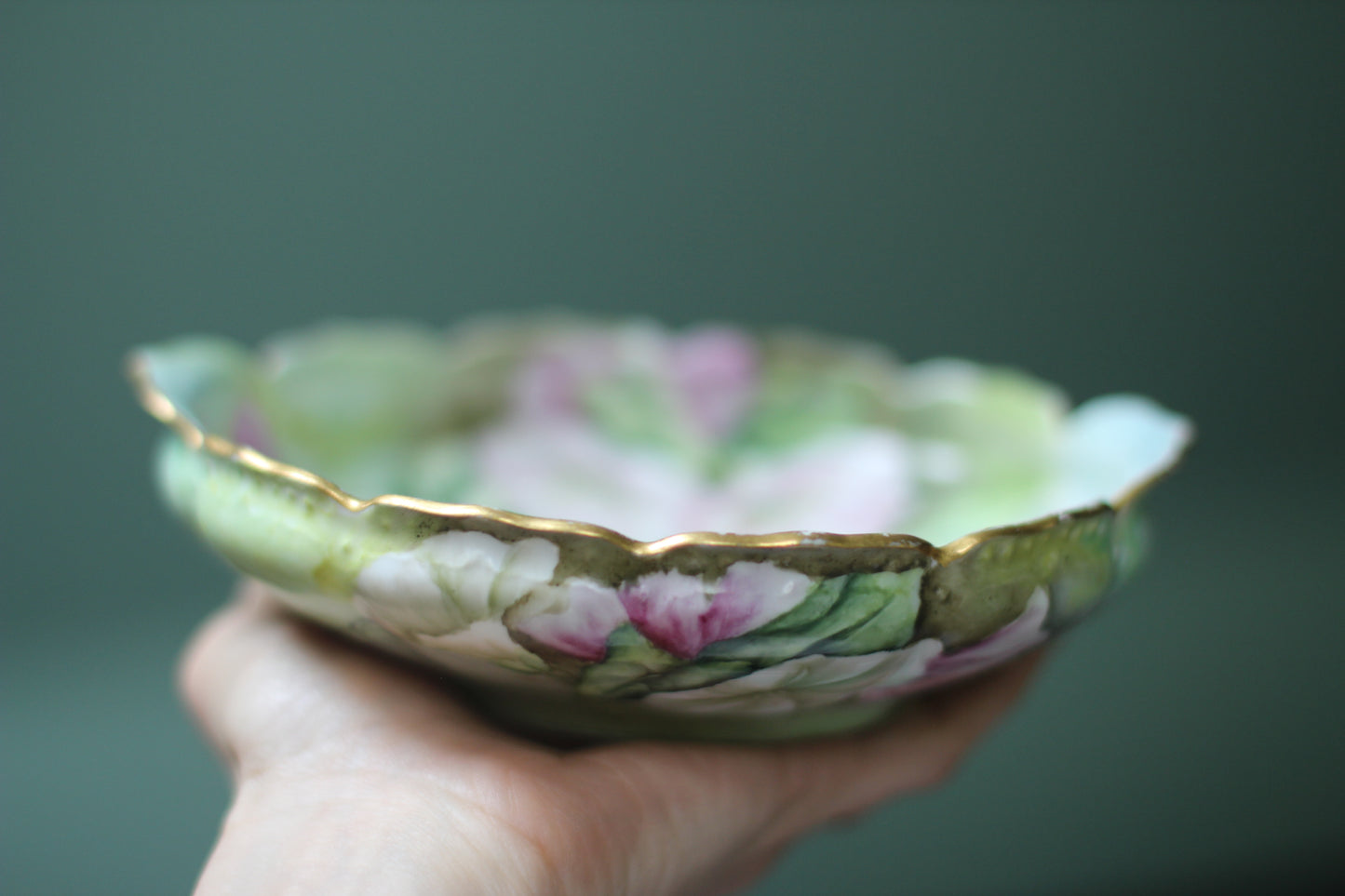 Vintage Floral Ipomoea Porcelain Plate
