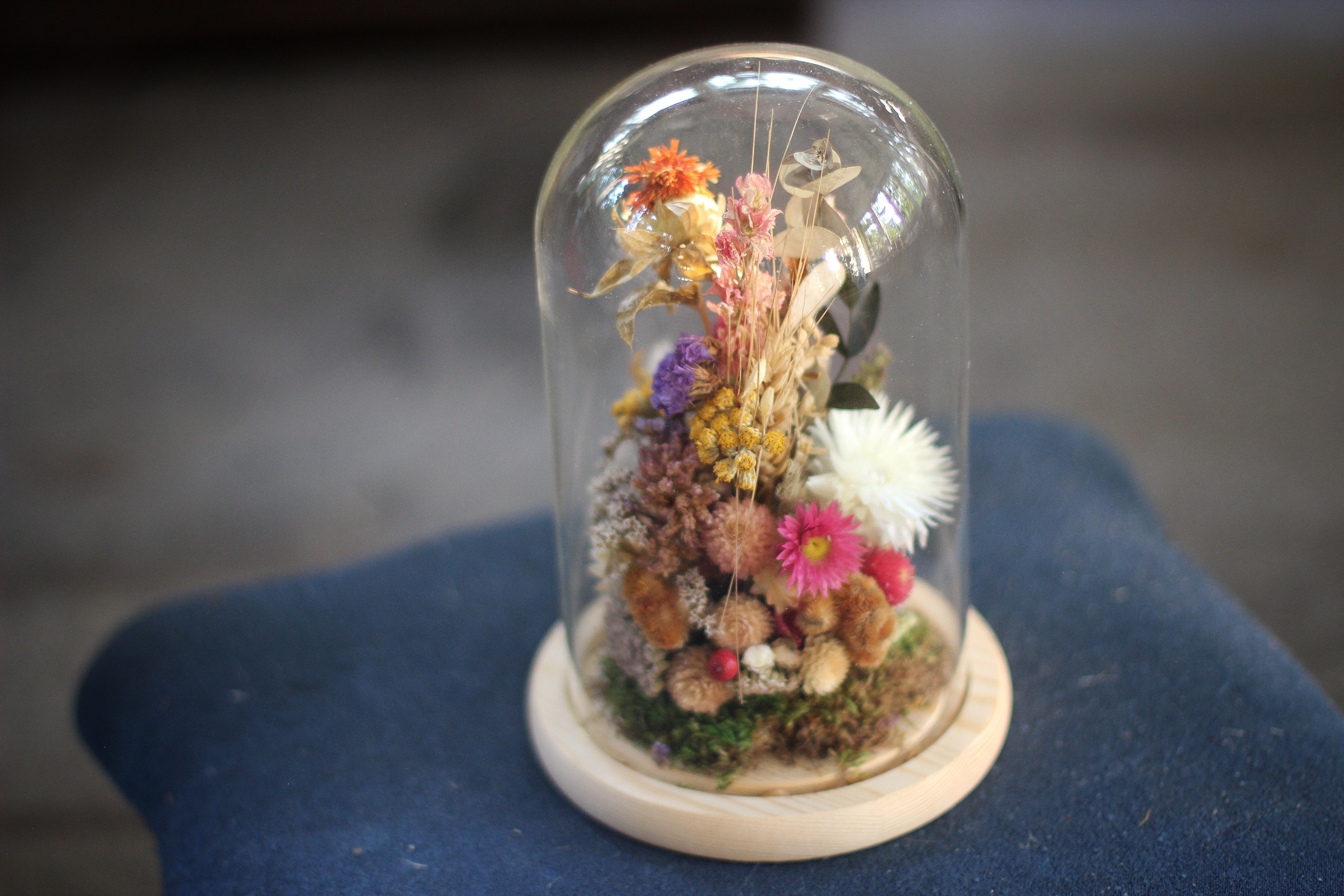Large Dried Flowers Glass Dome / Cloche