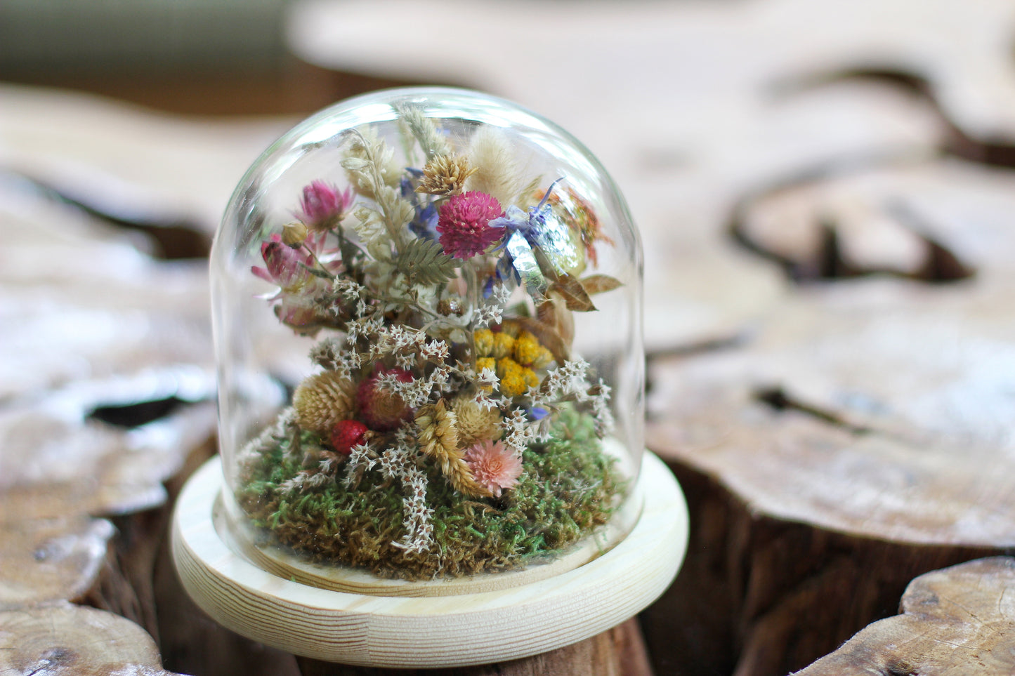 Medium Dried Flowers Glass Dome / Cloche