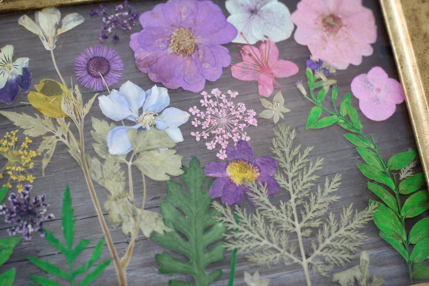 Pressed Flowers Framed Collage