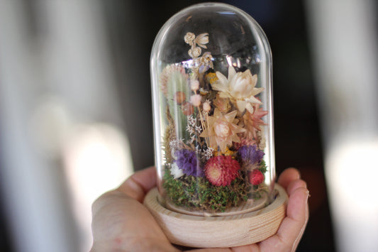 Small Dried Flowers Glass Dome / Cloche