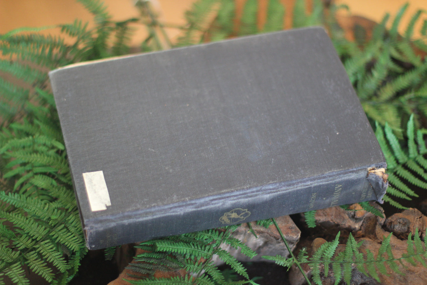 Antique Book The Nature Library Birds by Neltje Blanchan HC 1927 Illustrated