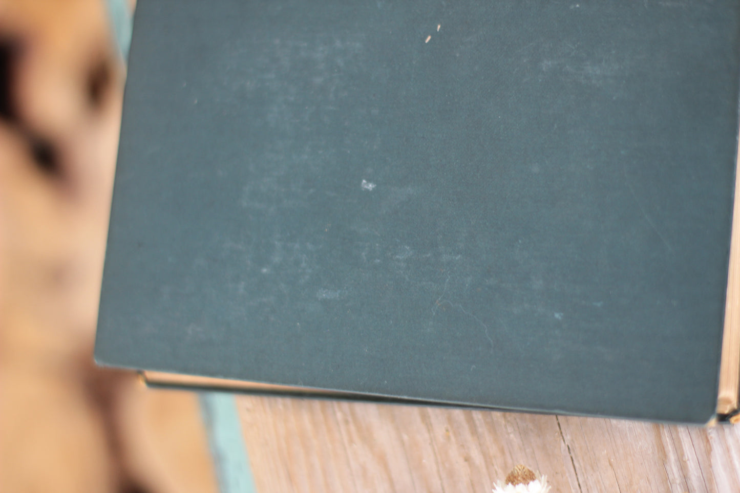 Antique Book, "Our Village" Miss Mitford Macmillan NY 1893 Hardback.