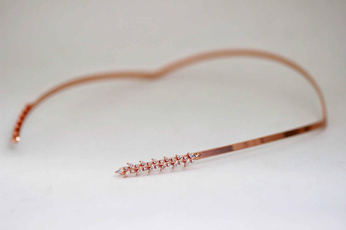 Crystals Twigs Crown