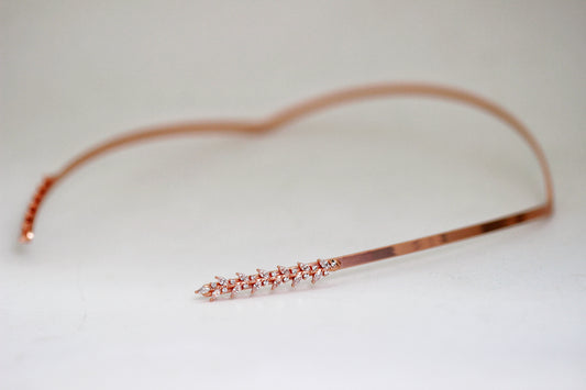 Crystals Twigs Crown