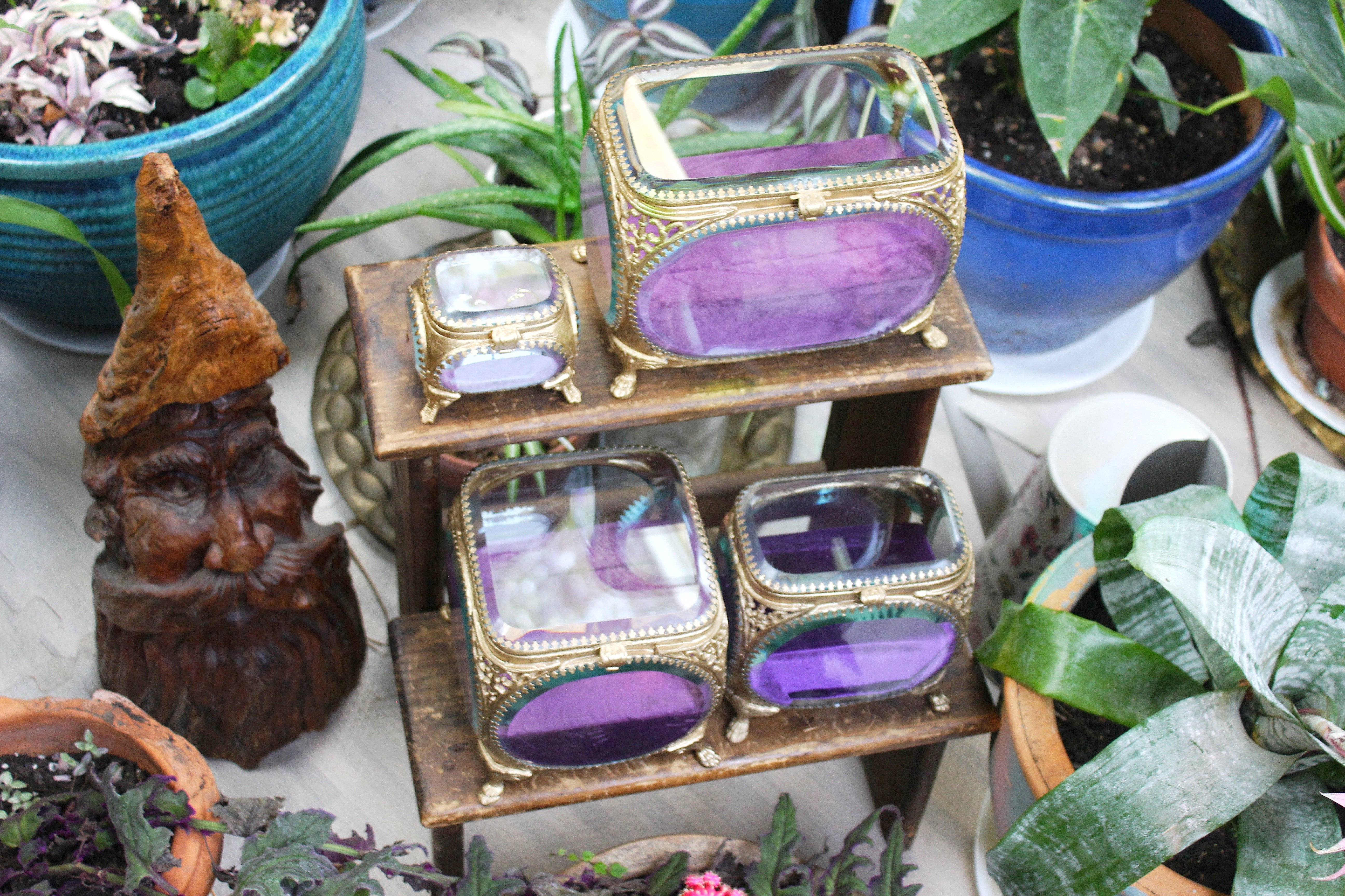 The Avigail Adam Collector's Case / Jewelry Box The Avigail Adam Collector's Case / Jewelry Box