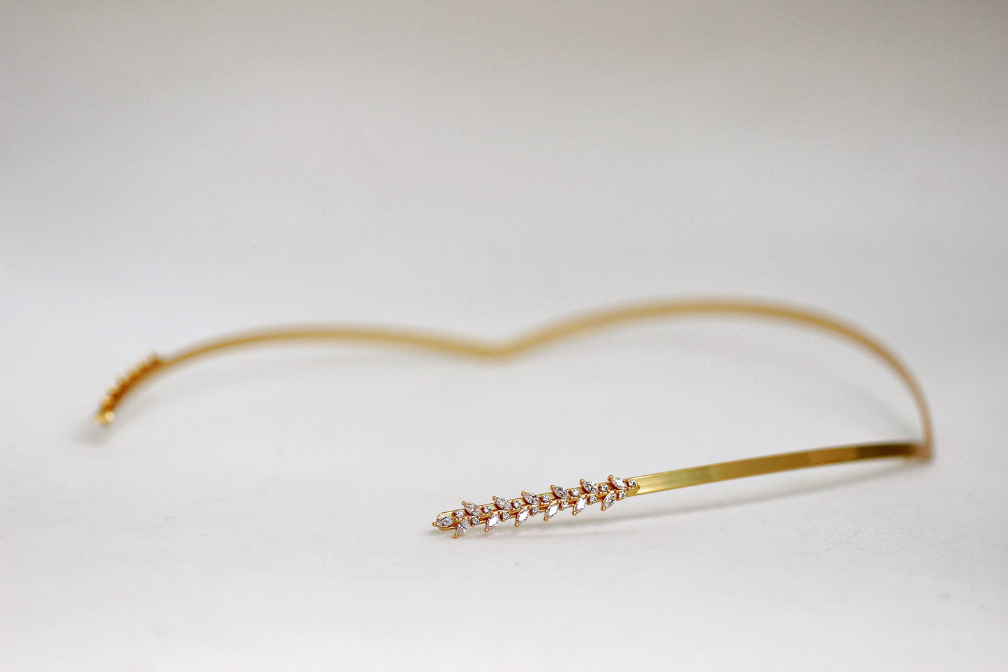 Crystals Twigs Crown