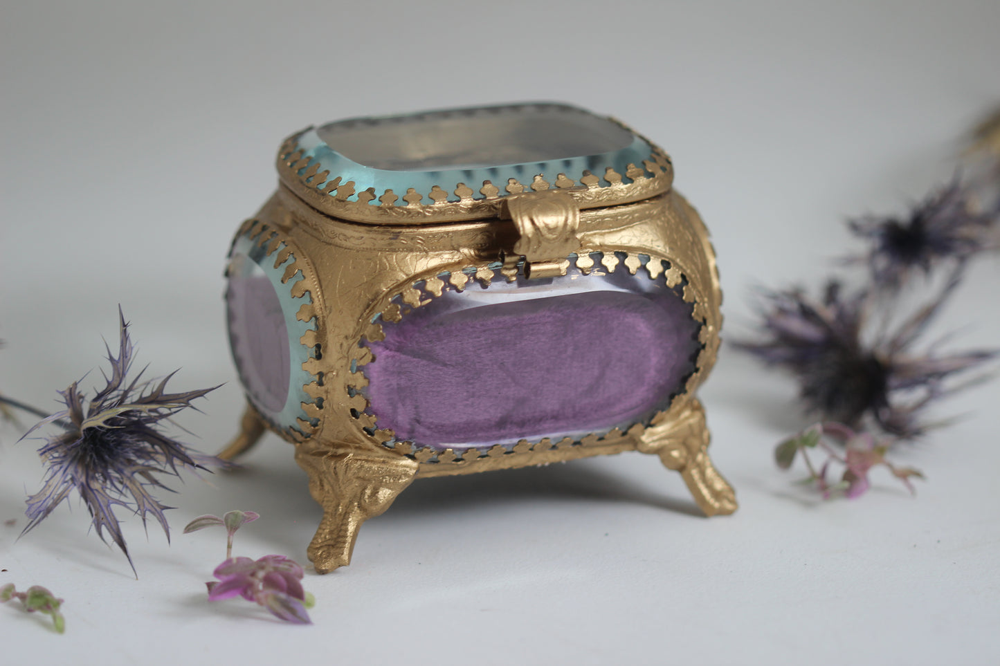 The Avigail Adam Collector's Case / Jewelry Box
