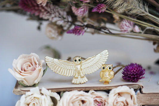 Owl Pin Duo- 2 piece Set