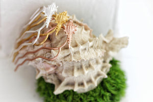 Conch Seashell Hair Pin