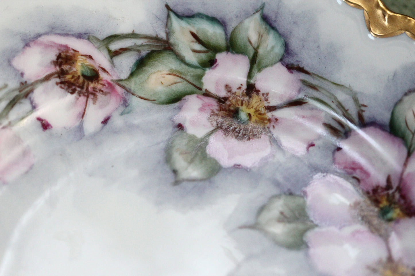 Bavaria Germany Floral Porcelain Dish