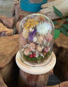 Medium / Small Dried Flowers Glass Dome / Cloche