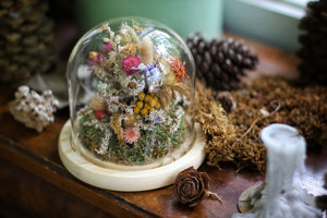 Medium Dried Flowers Glass Dome / Cloche