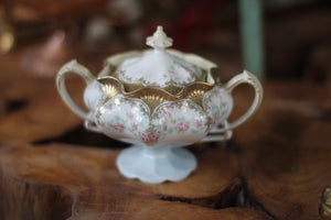 Antique R S Prussia Floral Porcelain Sugar Bowl