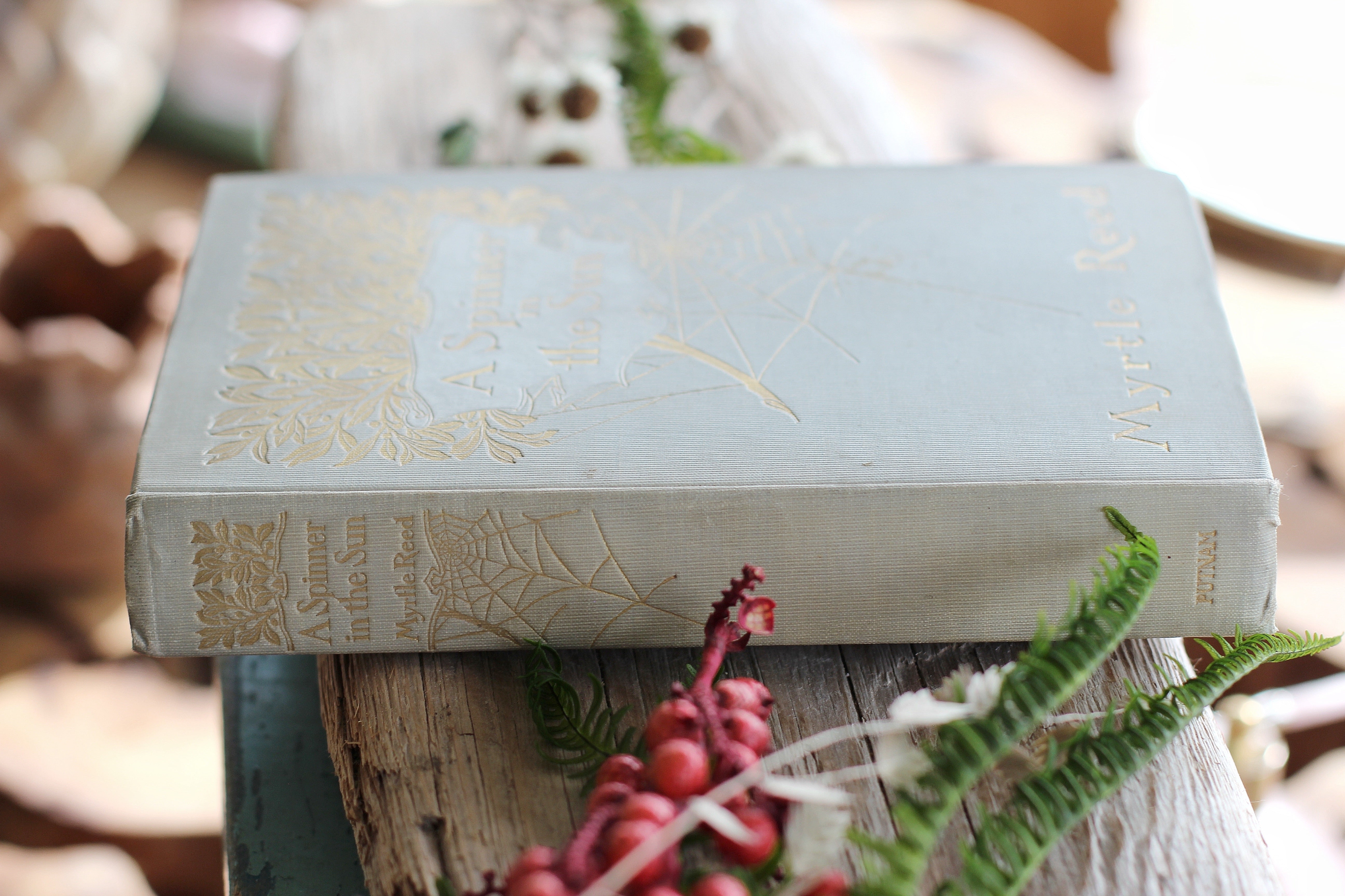 Antique Book A Spinner in the Sun by Myrtle Reed 1906 Hardback.