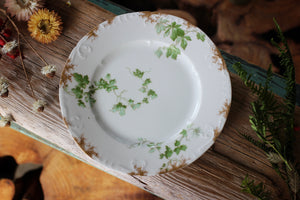 Vintage Limoges France Ivy Leaves Porcelain Salad Plate