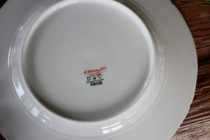 Vintage Porcelain Fuchs PT Tirschenreuth Bavaria Plate