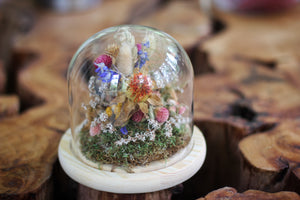 Medium Dried Flowers Glass Dome / Cloche