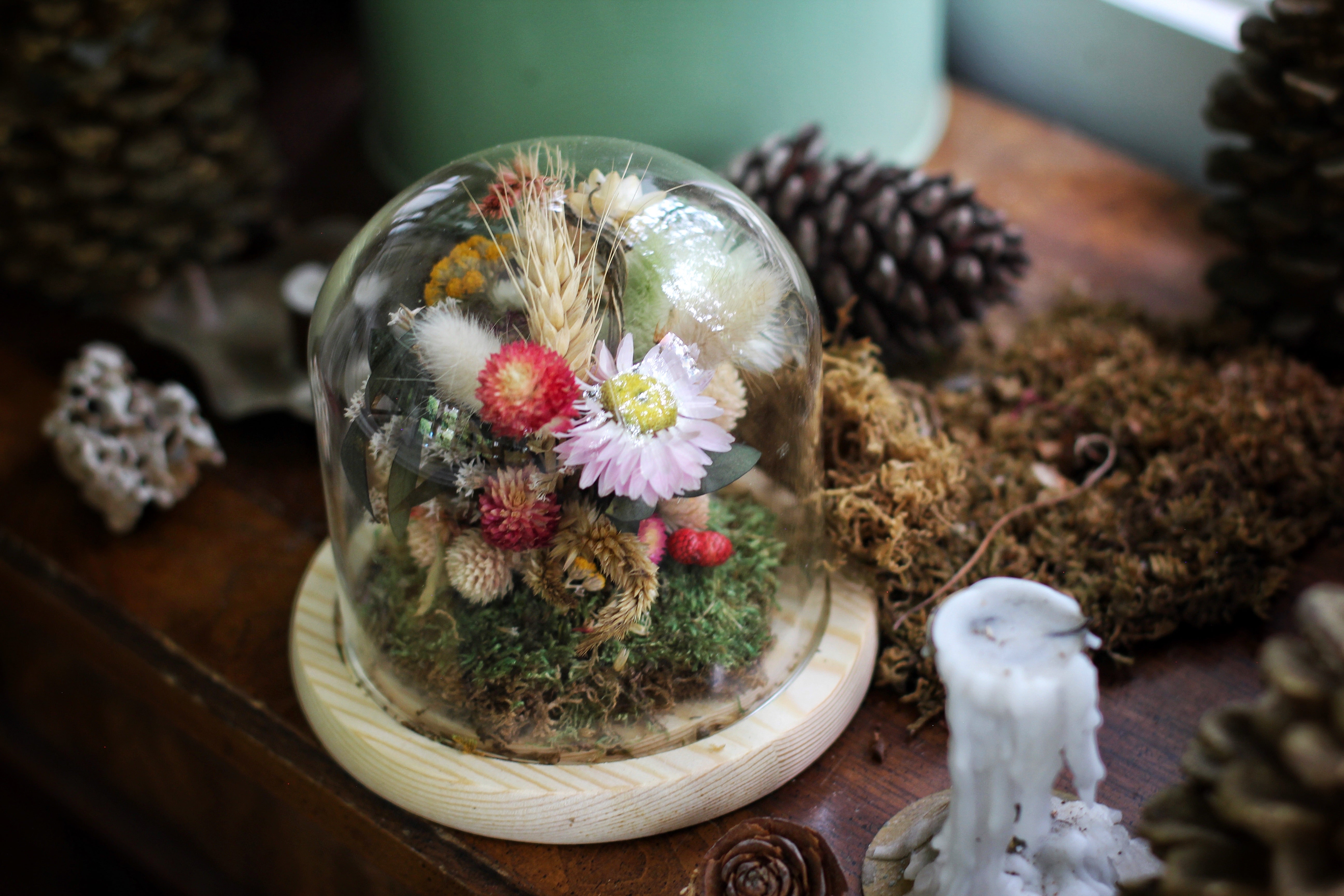 Medium Dried Flowers Glass Dome / Cloche