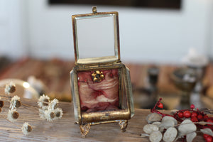 Antique French Victorian Watch display case