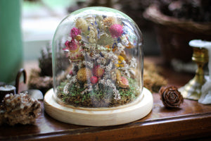 Medium Dried Flowers Glass Dome / Cloche