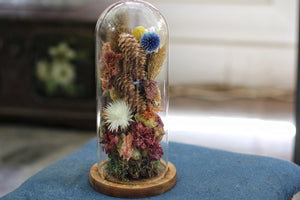 Tall Large Dried Flowers Glass Dome / Cloche