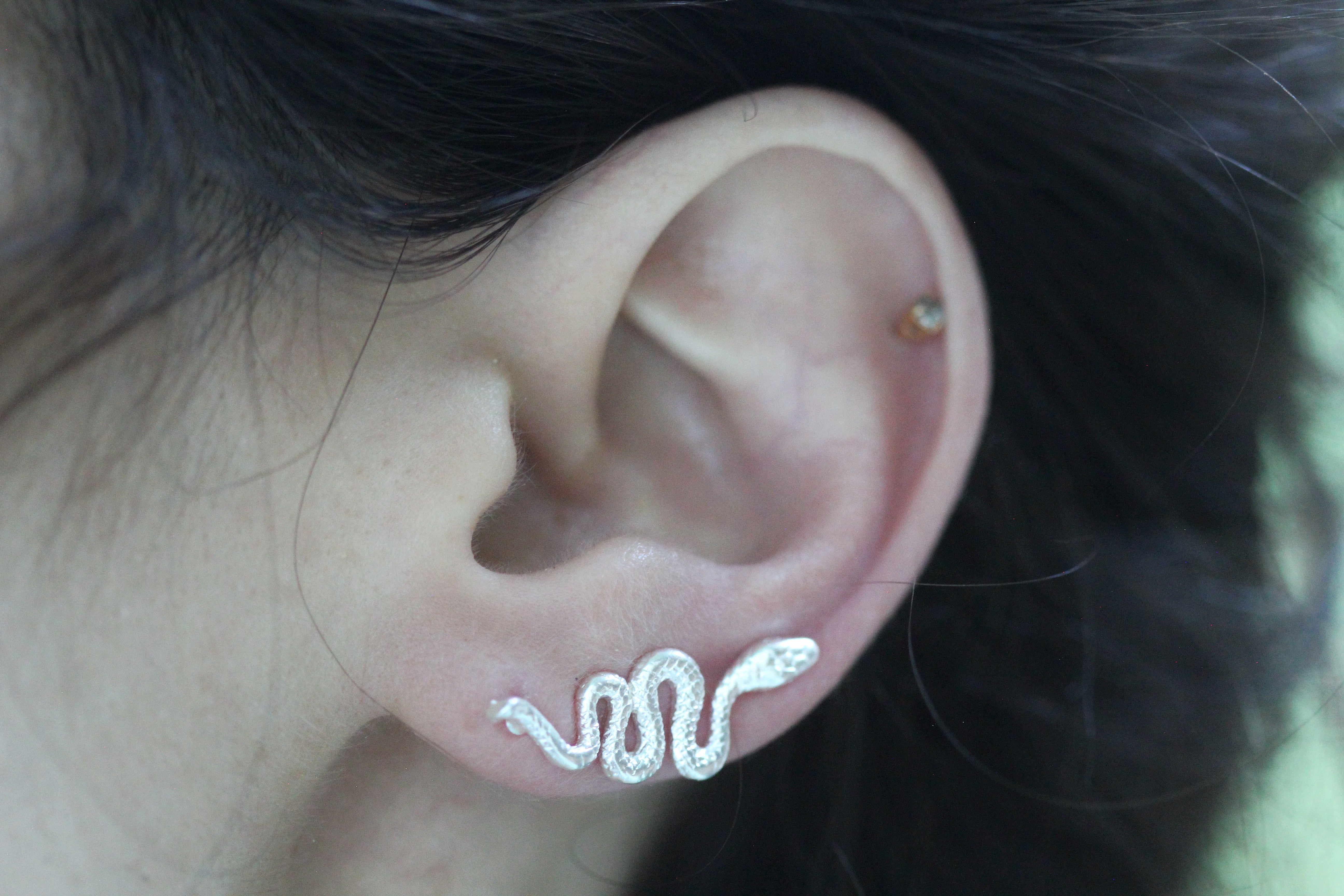 Tiny Snake Ear Climber