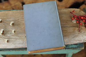 Antique Book The White Shield By Myrtle Reed 1912 Hardback.