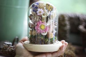 Medium / Small Dried Flowers Glass Dome / Cloche