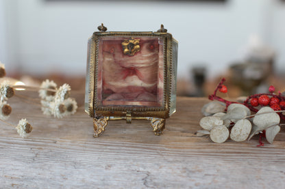 Antique French Victorian Watch display case