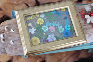 Pressed Flowers Framed Collage