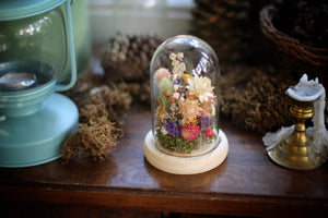 Small Dried Flowers Glass Dome / Cloche