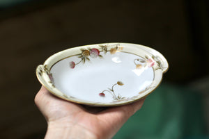 Antique Hand Painted Nippon Porcelain Dish