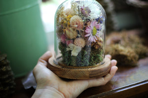 Medium / Small Dried Flowers Glass Dome / Cloche