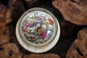 Medium Dried Flowers Glass Dome / Cloche