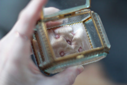 Antique French Victorian Pink Tuft Padding Jewelry Box