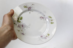 Limoges WroGeurin Floral Violets Porcelain Desert Plate Set