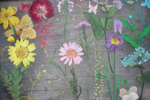 Pressed Flowers Framed Collage