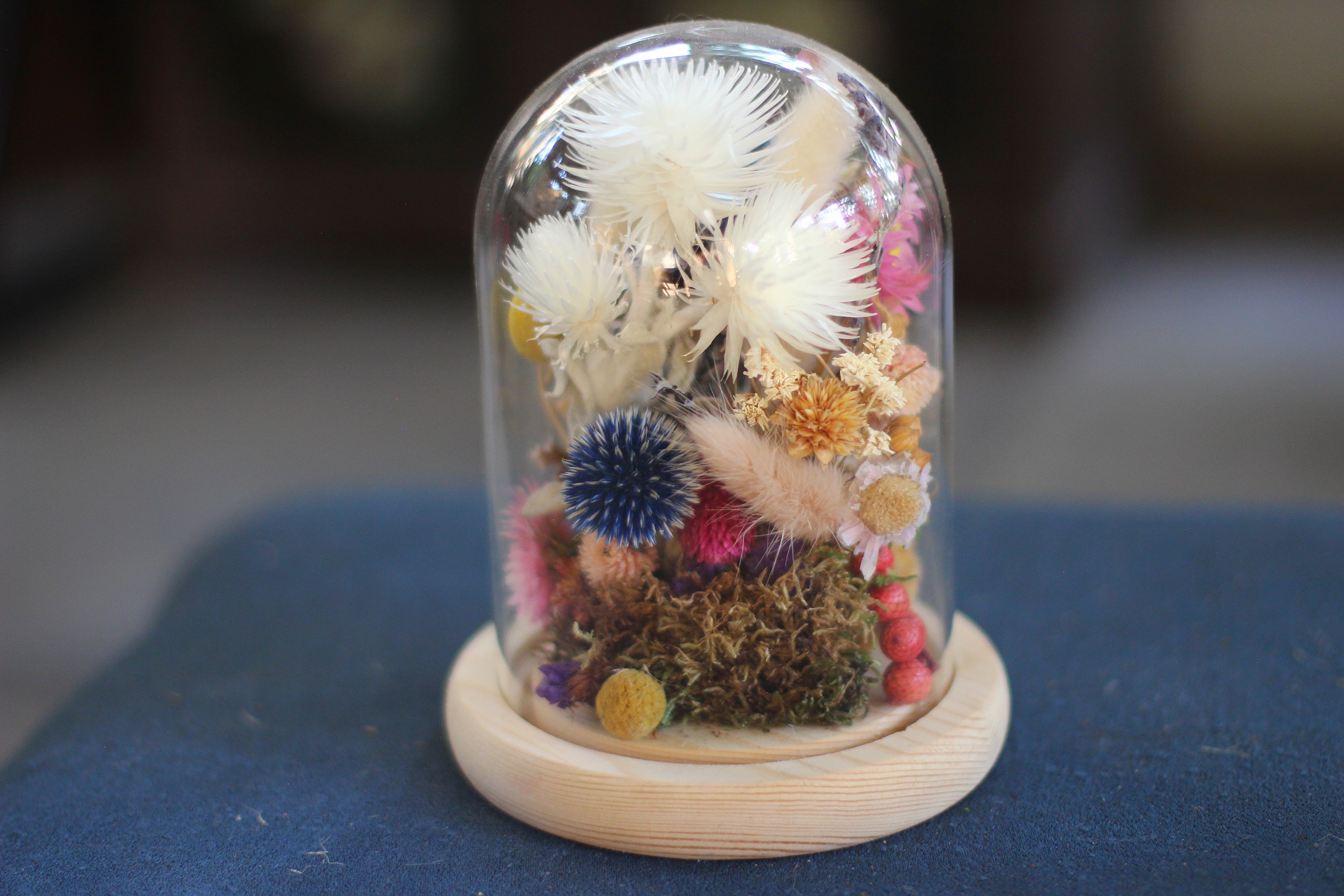 Medium Dried Flowers Glass Dome / Cloche