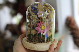 Medium / Small Dried Flowers Glass Dome / Cloche