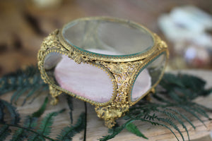 Antique Pink Padding French Victorian Dogwood Matson Jewelry Box