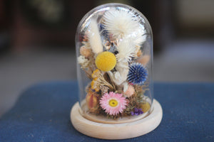 Medium Dried Flowers Glass Dome / Cloche