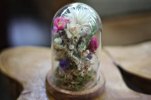 Small Dried Flowers Glass Dome / Cloche